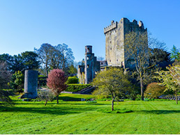 愛(ài)爾蘭移民